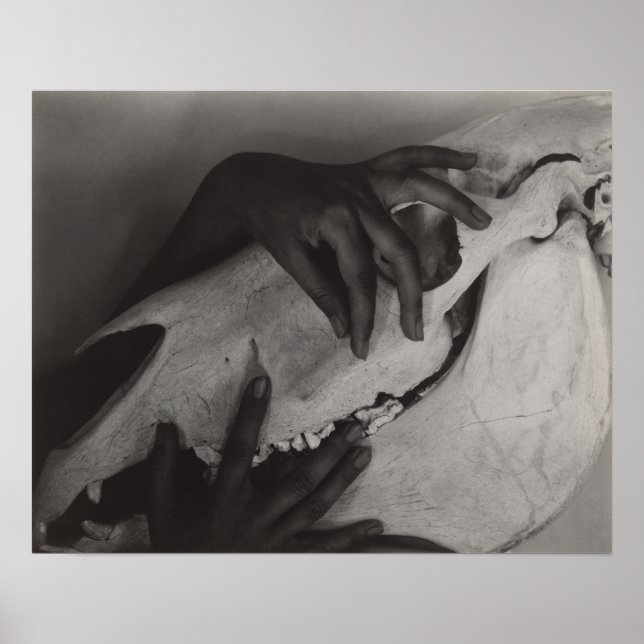 Stieglitz Georgia O’Keeffe Hands Horse Skull Photo Poster (Front)