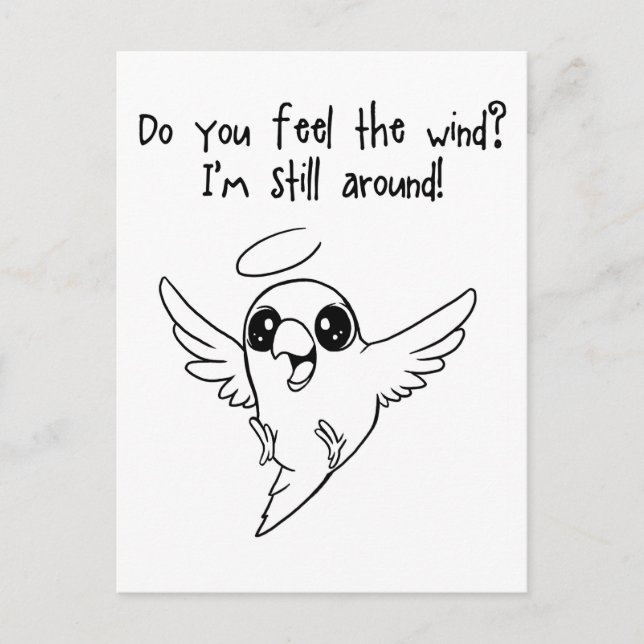 Still around postcard (Front)