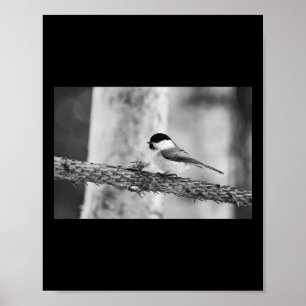 Still For A While. Willow Tit Bw Sticker Poster