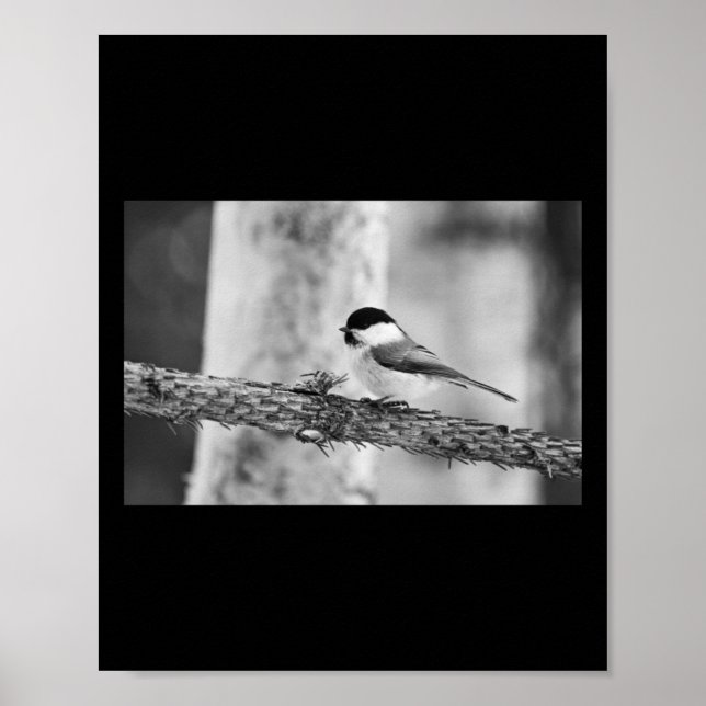 Still For A While. Willow Tit Bw Sticker  Poster (Front)