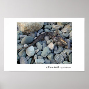 Still Got Teeth Poster