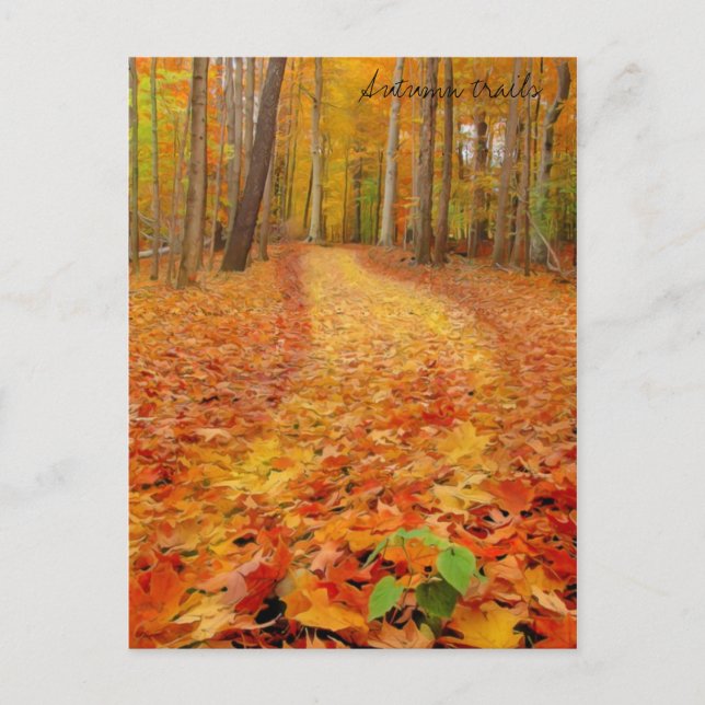 Still green, Autumn trails Postcard (Front)