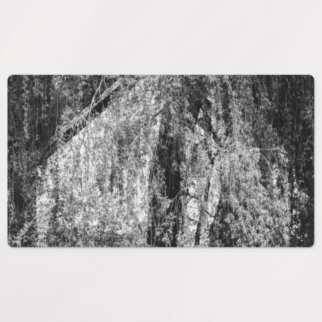 still life home (Design 1)