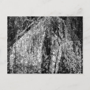 still life home holiday postcard