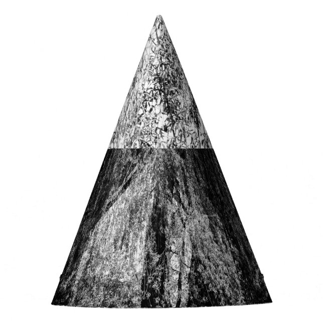 still life home party hat (Front)