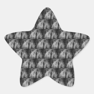 still life home star sticker