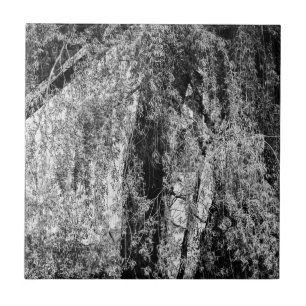 still life home tile