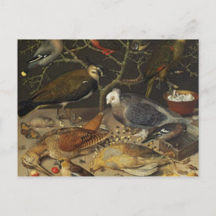 Still Life of Birds and Insects, 1637 Postcard