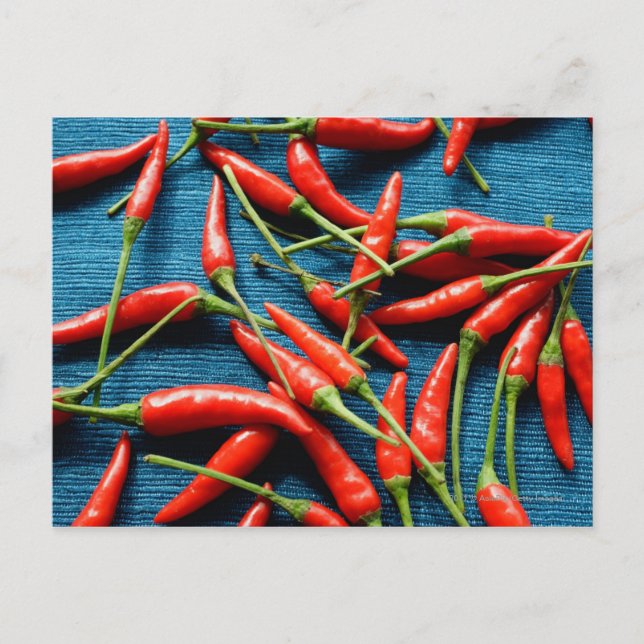 Still life of chilies against blue background postcard (Front)