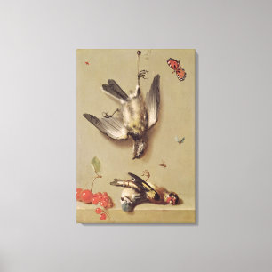 Still Life of Dead Birds and Cherries, 1712 Canvas Print