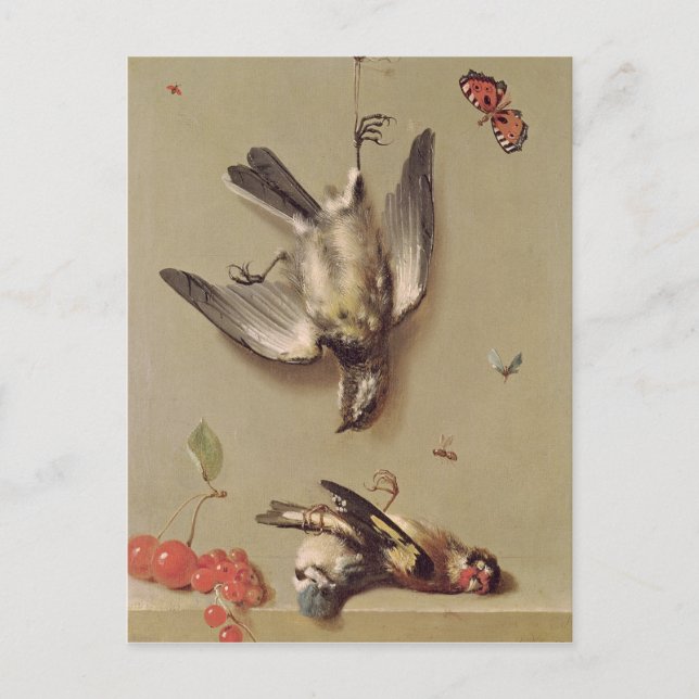 Still Life of Dead Birds and Cherries, 1712 Postcard (Front)