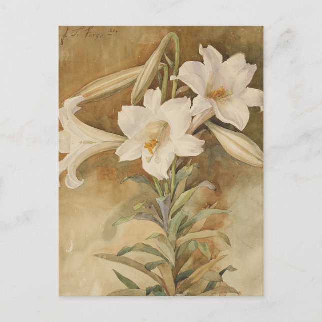 Still Life of Easter Lilies | John La Farge Postcard (Front)