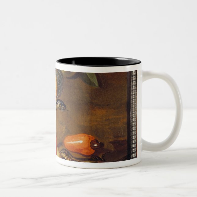 Still Life of Fruits from Surinam and Reptiles Two-Tone Coffee Mug (Right)