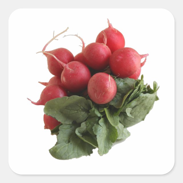 Still Life Photo of Red Radish Vegetable Square Sticker (Front)