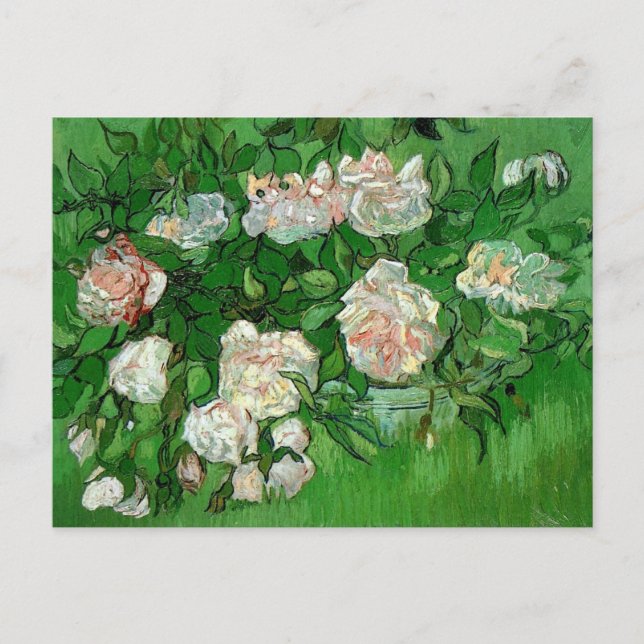 Still Life: Pink Roses by Vincent van Gogh Postcard (Front)