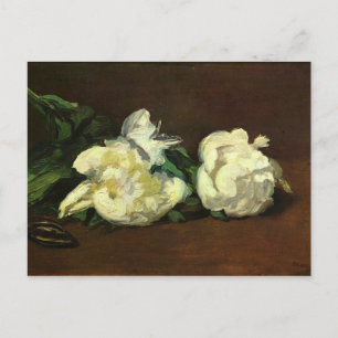 Still life, White Peony by Edouard Manet Postcard
