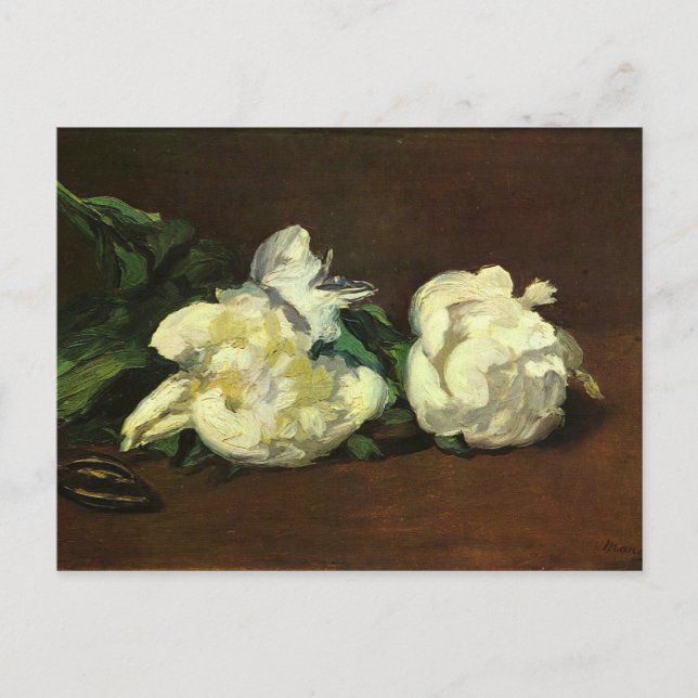 Still life, White Peony by Edouard Manet Postcard (Front)