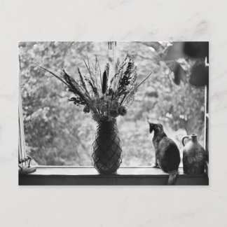 Still Life with Cat Postcard