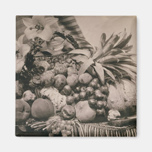 Still Life with Fruit, 1860 (sepia photo) Magnet