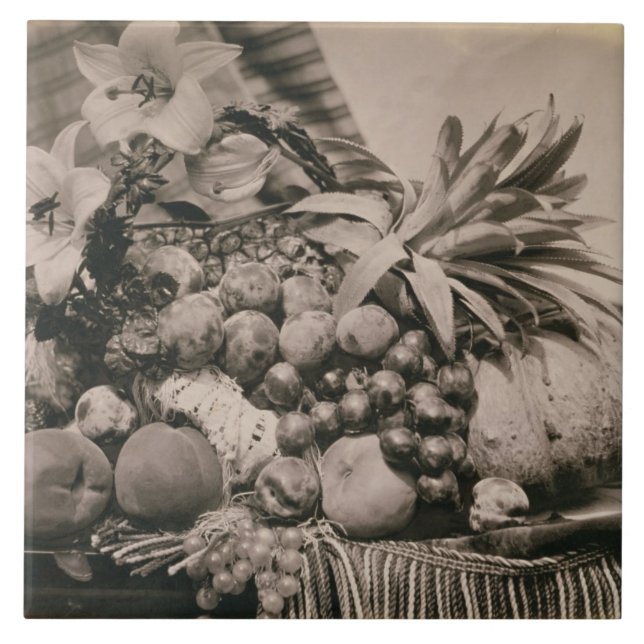Still Life with Fruit, 1860 (sepia photo) Tile (Front)