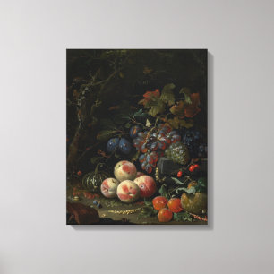 Still Life with Fruit, Foliage and Insects, c.1669 Canvas Print