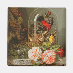 Still Life with Humming Bird in a Glass Dome Magnet