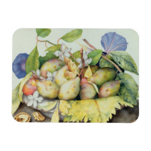 Still life with Plums, Walnuts and Jasmine (w/c on Magnet