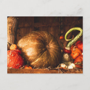 Still Life with Pumpkins Postcard