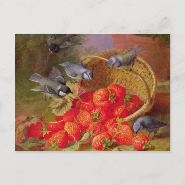 Still Life with Strawberries and Bluetits Postcard (Front)