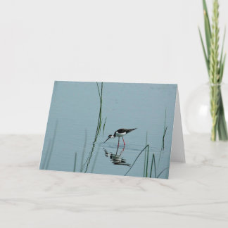 Stilt Reflection Card