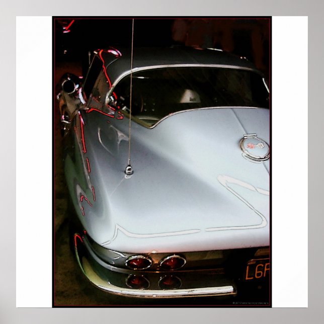 Sting Ray Poster (Front)