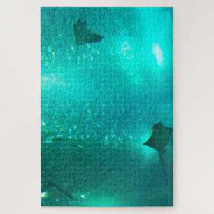 Sting Rays in an Aquarium. Jigsaw Puzzle