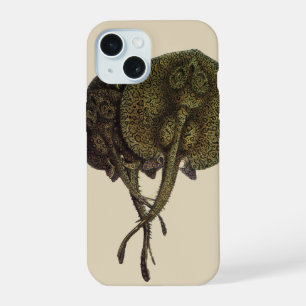 Sting Rays Stingrays, Vintage Marine Life Animals iPhone 15 Case