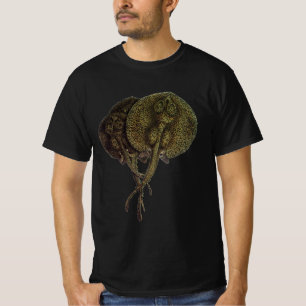 Sting Rays Stingrays, Vintage Marine Life Animals T-Shirt