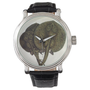 Sting Rays Stingrays, Vintage Marine Life Animals Watch