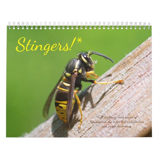 Stingers! A calendar of Bees and Wasps (Cover)