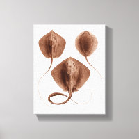 Stingray #1 Wrapped Canvas Wall Art