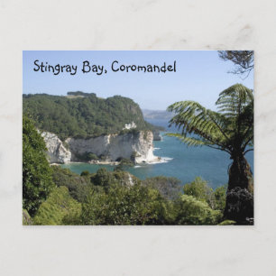 Stingray Bay, Coromandel Postcard
