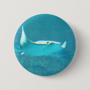 Stingray Button