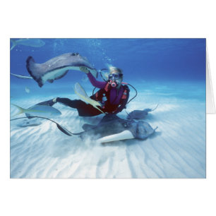 Stingray City, Grand Cayman, Cayman Islands,