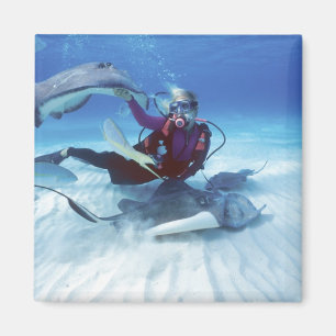 Stingray City, Grand Cayman, Cayman Islands, Magnet