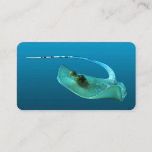 Stingray in motion! Gradient blue background Enclosure Card