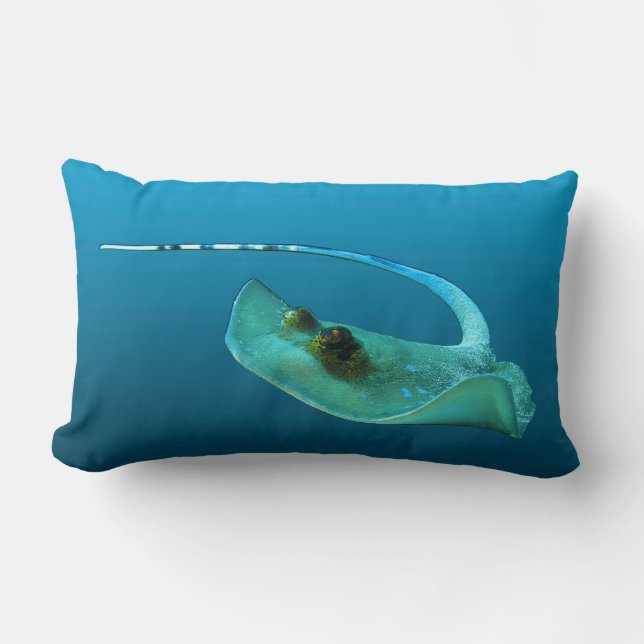 Stingray in motion! Gradient blue background |  Lumbar Cushion (Front)