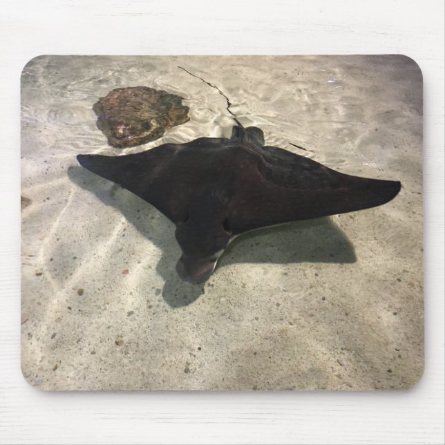 Stingray Mouse Pad (Front)