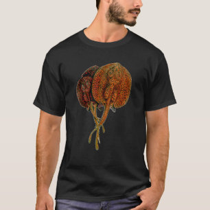 Stingray Ray Exotic Fish Monster Potamotrygon Aqua T-Shirt