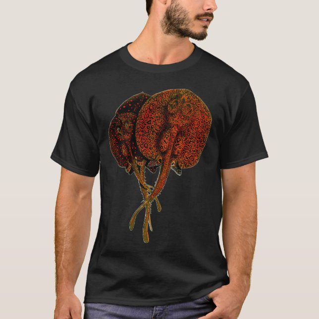 Stingray Ray Potamotrygon Monsterfish Monster Fish T-Shirt (Front)
