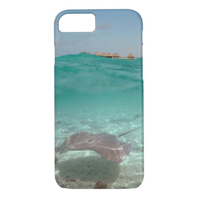Stingray underwater in Bora Bora iPhone 7 case (Back)
