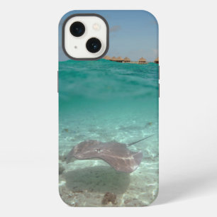 Stingray underwater in Bora Bora iphone cover