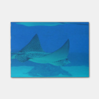 Stingrays Post-it Notes