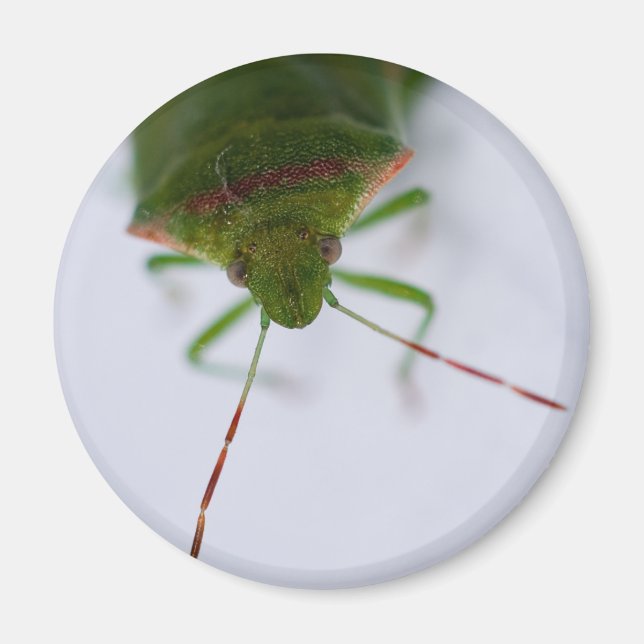 Stink Eye Magnet (Front)